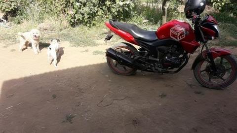 Honda invicta año 2016