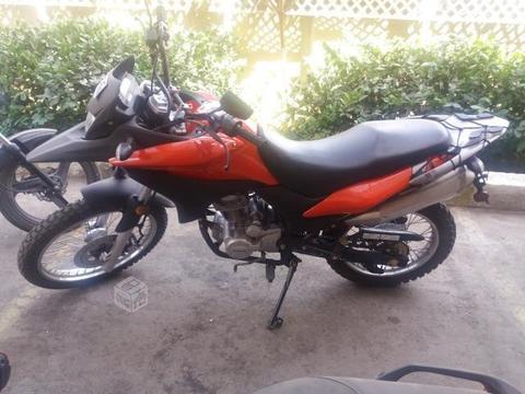 Motorad ttx 250cc limited