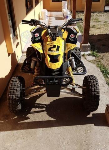 Can am ds 450