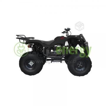 Cuatrimoto Moto ATV 150cc Aro 10