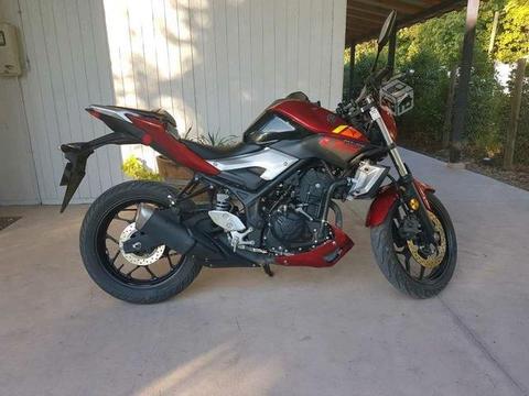 moto yamaha mt