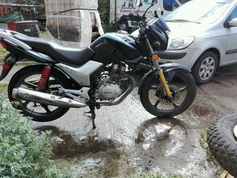 Honda storm al dia