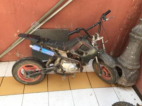 Pit bike 100cc