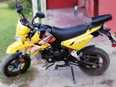 Moto dax r100