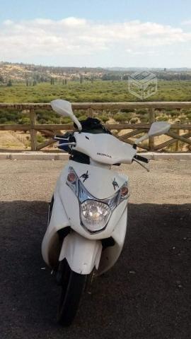 Moto new elite 2015