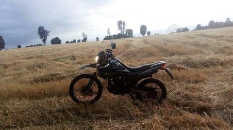 Um dsr 230