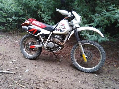 Moto Xr250