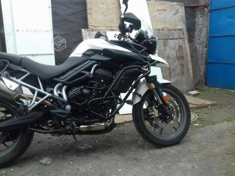 Triumph tiger Full equipada