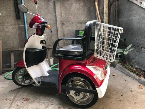 Moto triciclo eléctrico ORIENT LION