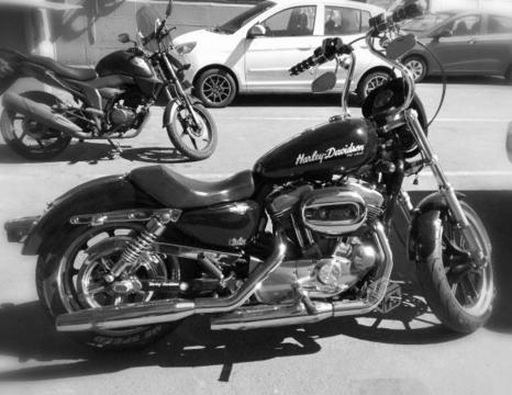 harley davidson 883 super low