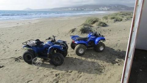 Yamaha grizzly