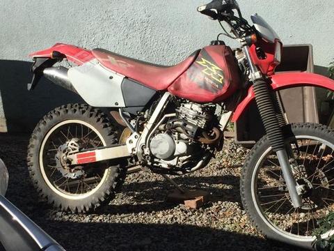 Xr250 2001