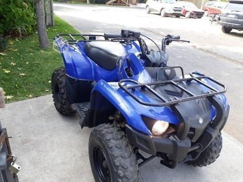 Yamaha grizzly 300 at
