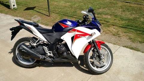 Honda cbr 250rr 2014 por apuro