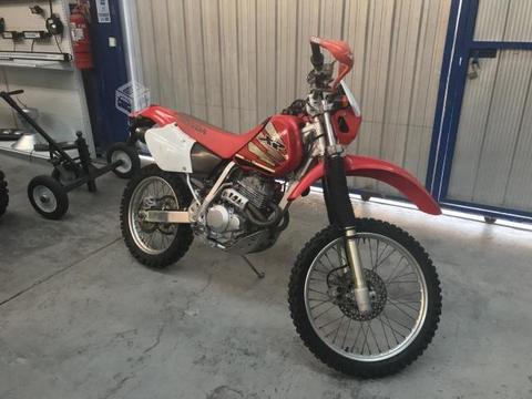 Honda XR 2004