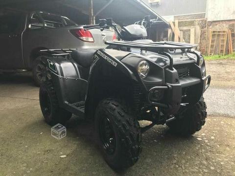 Kawasaki Brute Force 300