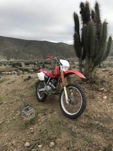 Honda XR 250