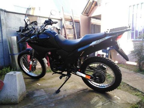 Moto RX MOTORS 250