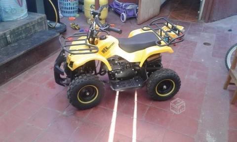 Cuatrimoto 49cc wenmotors