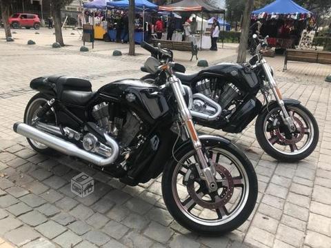 Harley davidson v- rock