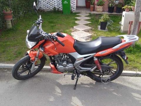 Motito en exelente estado