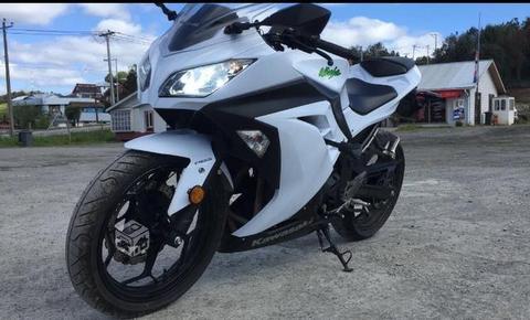 ninja 300 abs