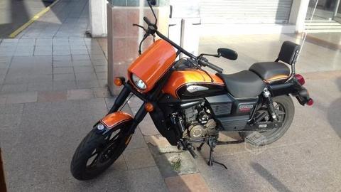 UM Renegade sport 300