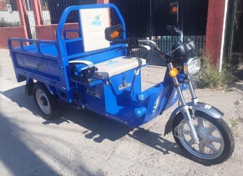 Moto Torito Eléctrica