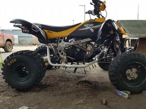 Can am DS450