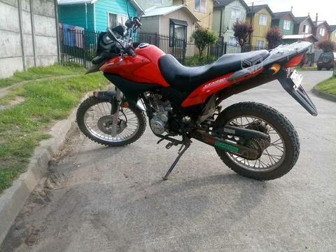 TTX 250 limited