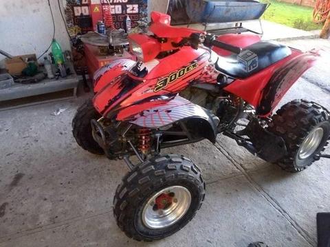 Honda TRX 300 EX