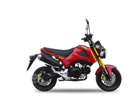 Motorrad DAX 100 R