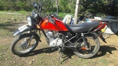 Honda tuf 125