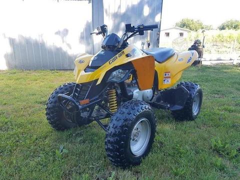 Can am ds 250