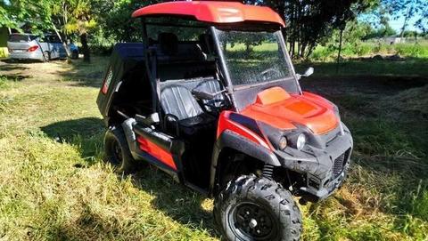 Buggy 4x4 (cuadrimoto)