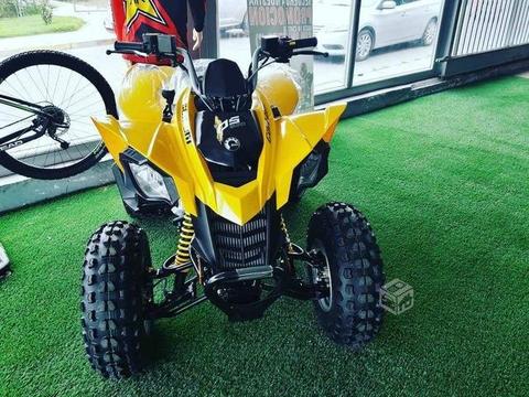 Can am ds 250 atv