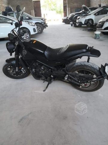 Benelli Leoncino 2019