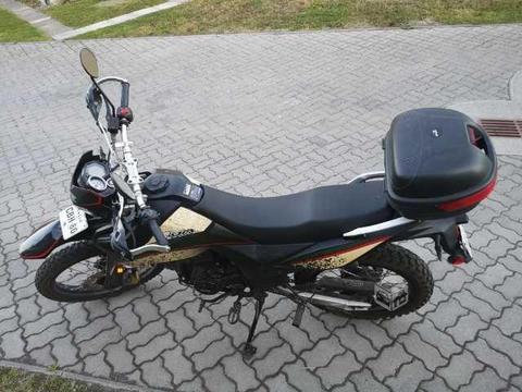 Moto UM DSR 230