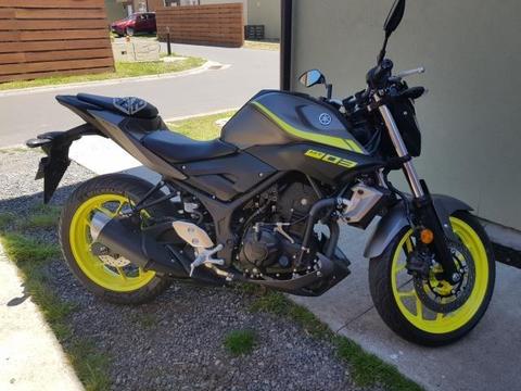 Yamaha mt.03