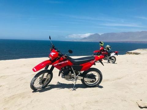 Honda xr250 tornado