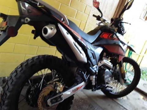 UM dsr 250 (2019 - 3.0XX)