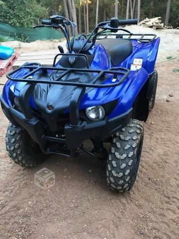 Yamaha Grizzly 300