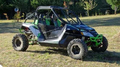 Arctic cat wildcat x 1000