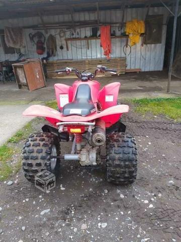 Honda trx 250