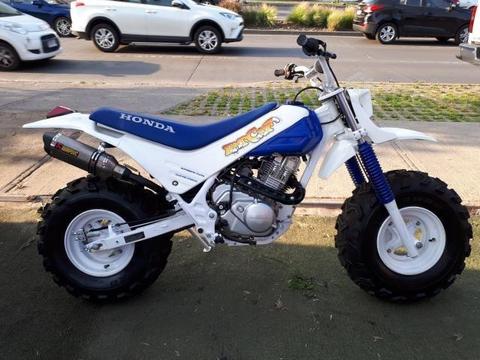 Honda fat cat 200 1986