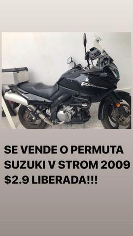 Suzuki v STROM 2009