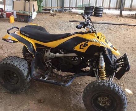 Can am ds450