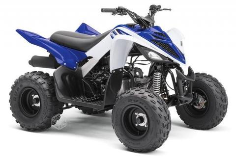 Yamaha raptor 90