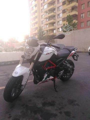 Moto Benelli Tnt 25