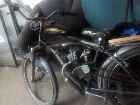 Busco: Bicicleta mosquito a motor